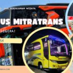 Sewa Bus Medium Sidoarjo: Solusi Transportasi Nyaman dan Terjangkau