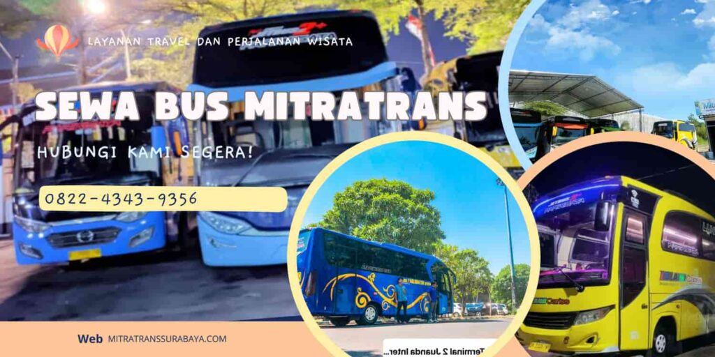 Sewa Bus Medium Solo
