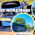 Sewa Bus Medium Solo: Menjawab Kebutuhan Perjalanan Anda